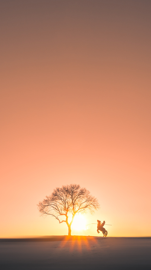 爱游戏大厅官网-国际车迷狂欢节：不同国家的狂热场面，国际车王